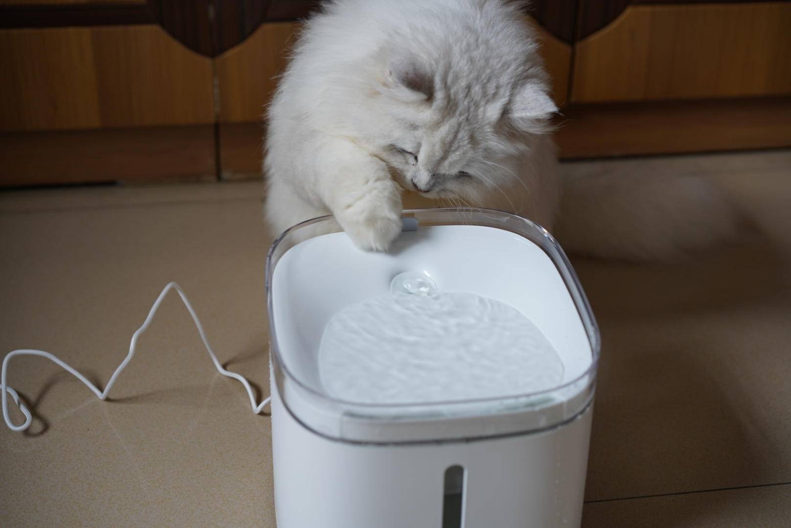 小顽智能宠物饮水机wifi信号,小米小顽智能宠物饮水机说明书