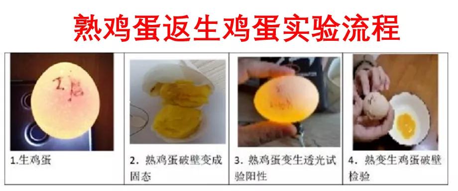 一节课2万！中国第一女忽悠，终于瞒不住了