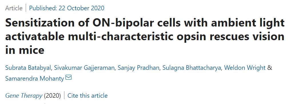 陆英明眼部疾病治疗,陆英明