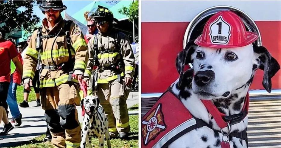 为什么上帝关门就为你打开一扇窗,上帝为你关了门却会打开一扇窗