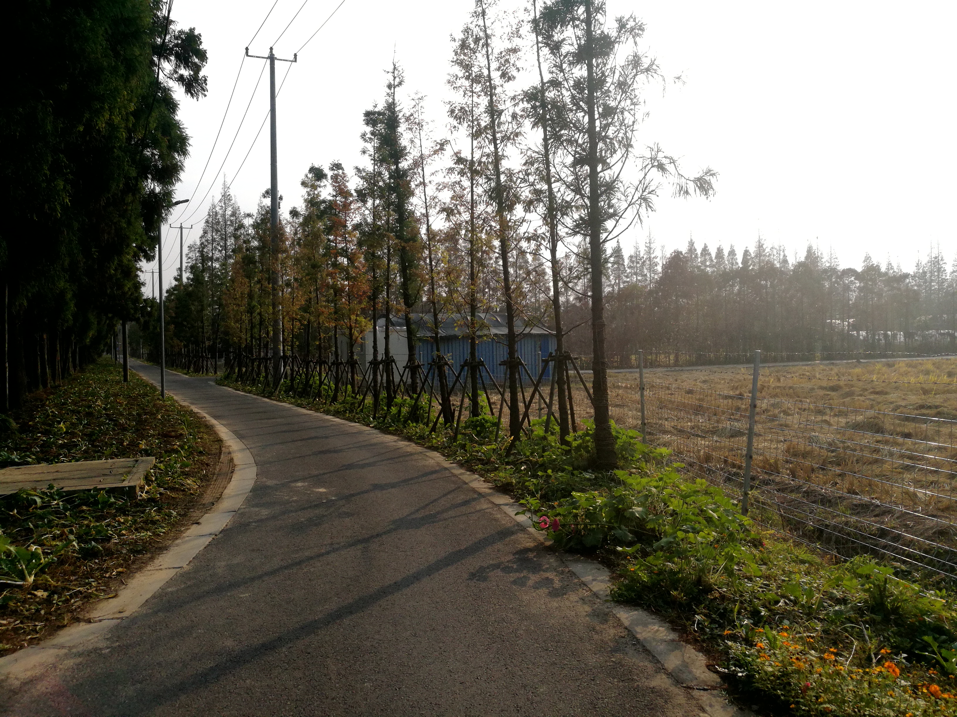 上海崇明岛郊野公园扩建工作,崇明长兴岛公园规划