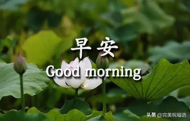 早安手机短信,发给朋友早上好短信