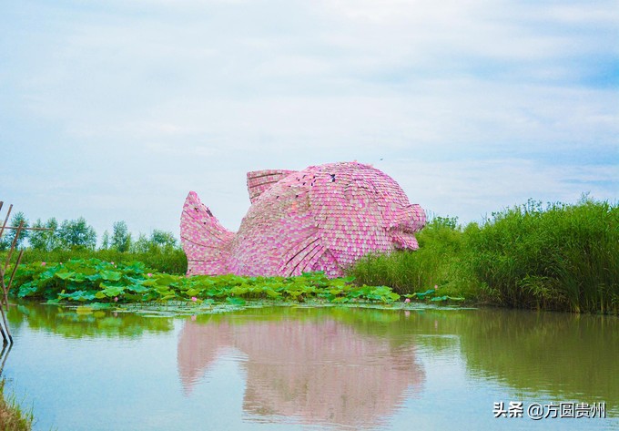 这个夏日，看这个美女如何在浙江乌村的第一百种玩法