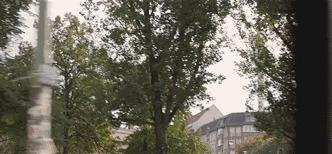 想环游世界的文章,想环游世界短文