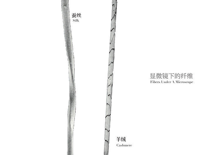 采紫禁红霞做围巾，轻暖丝滑，让你红运整年