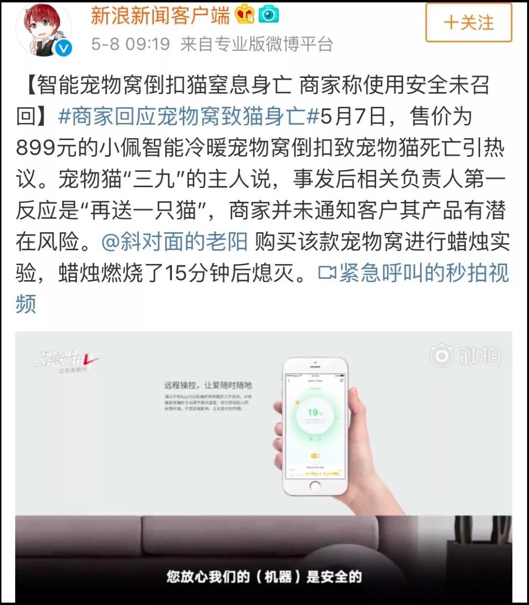 小佩闷死猫后续,小佩猫窝现在还有吗