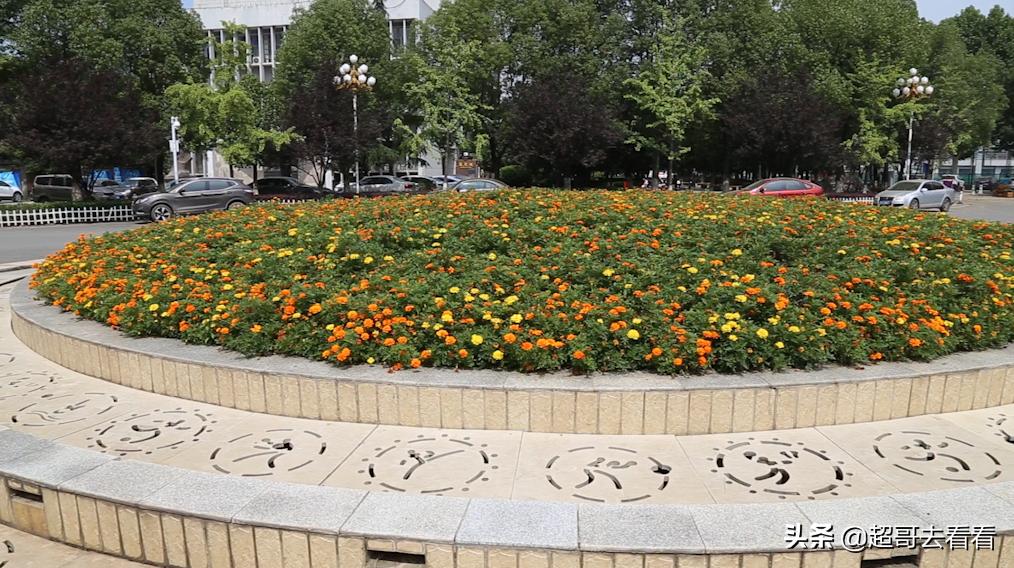 武汉体育学院最强学科,武汉体院排名