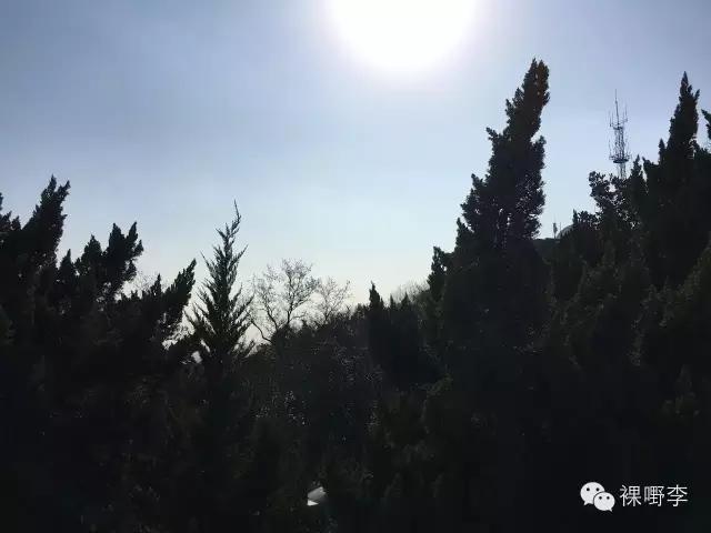 公安部48种电信诈骗犯罪,特大跨国电信诈骗案35人受审