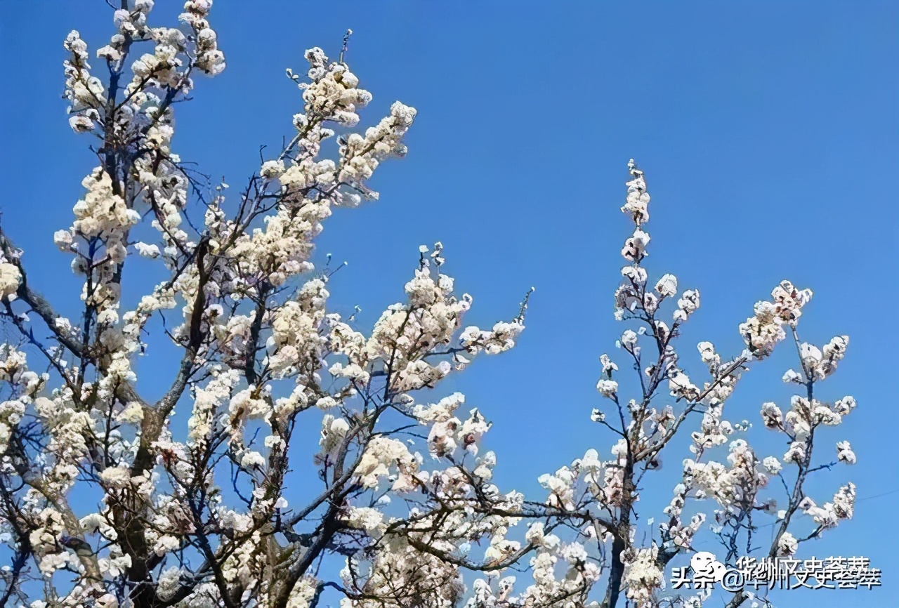 娴峰娓稿瓙鎬濅埂鎯呯粨,娴峰娓稿瓙涓浗