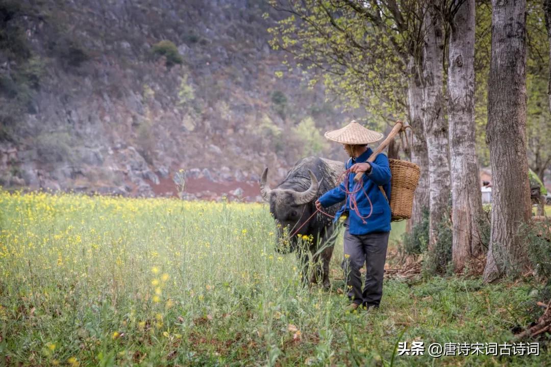 老翁七十犹强健，没膝春泥夜叱牛