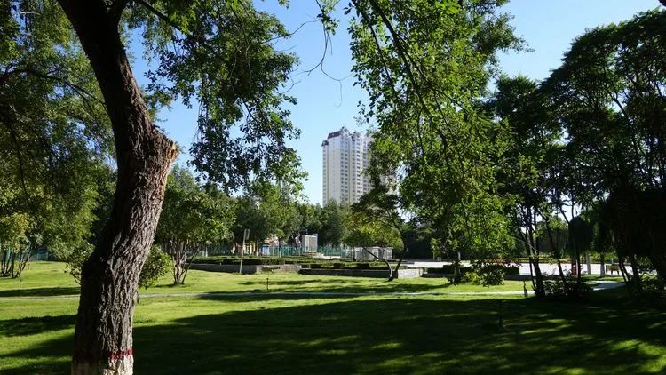 塔城生态环境优美,新疆是个好地方塔城