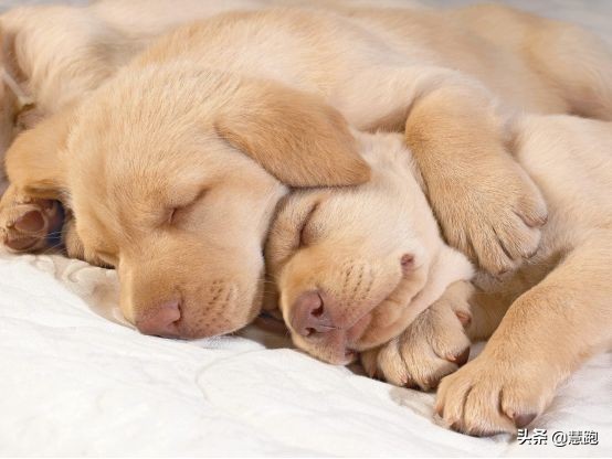 夜跑睡眠质量变差,夜跑之后睡眠不佳