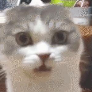 聚划算真的能赚钱吗,聚划算能给人们带来的惊喜