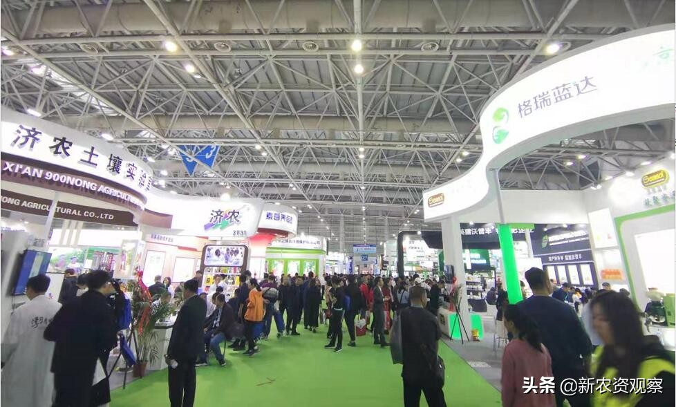 特肥发展趋势分析及营销策略,农药农肥发展方向