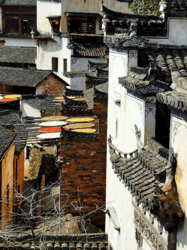 春暖花开我在油菜花田等你,篁岭晒秋我听了风的话