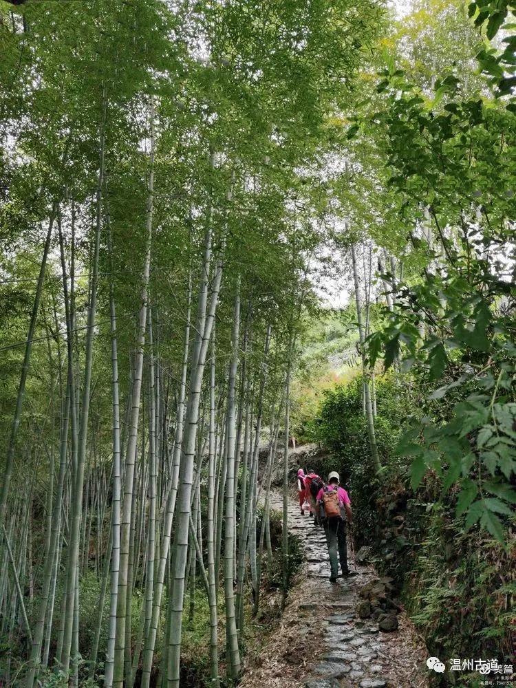 新昌盐帮古道十八渡徒步时间,新昌盐帮古道旅游攻略