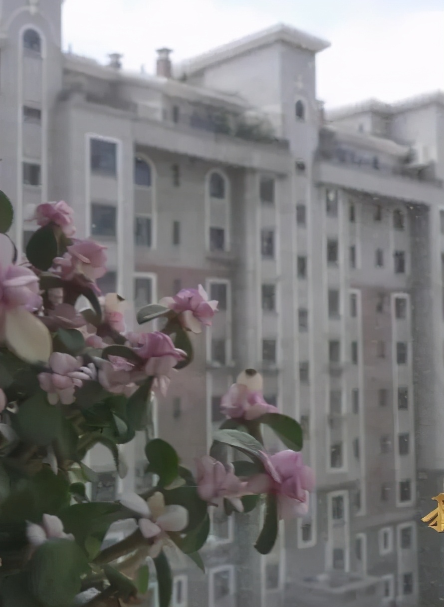 我们不止生产钢——请叫我，鞍山