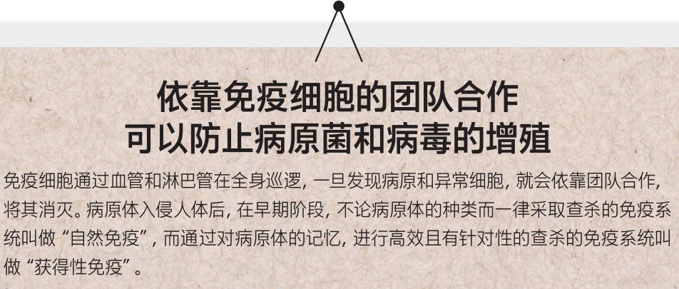对付新冠病毒最好的方法是免疫力,免疫系统如何打败新冠病毒