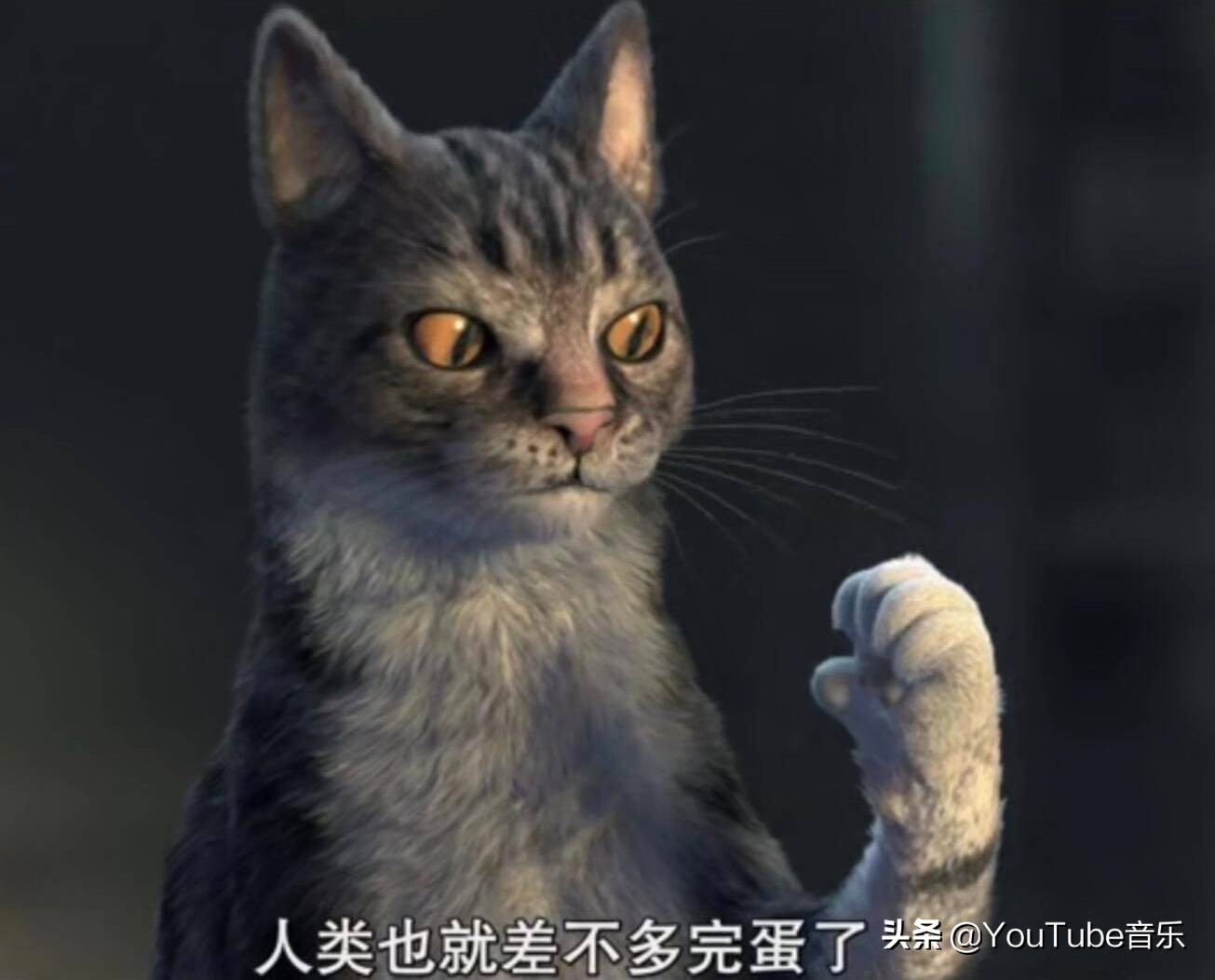 「今日萌图」一旦猫咪能自己打开鱼罐头，人类也就完蛋了