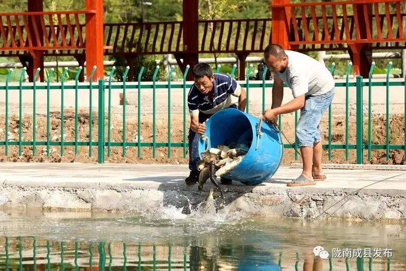 我叫成县，这是我2019年的自拍照~