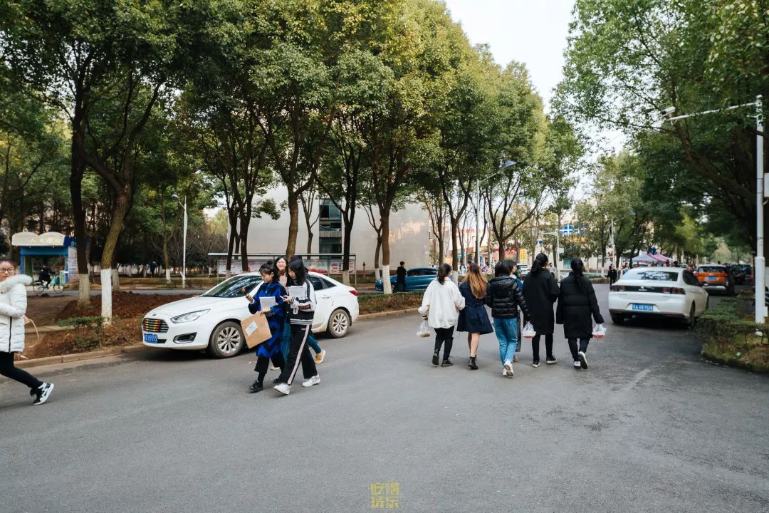 自从藏龙岛有了南延线，我就再没羡慕过别人家的学校！