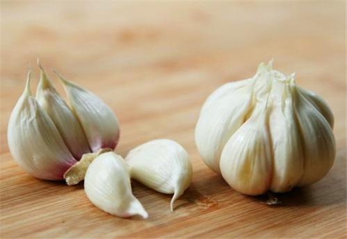 怎样防治大蒜黑头蛆,大蒜易发生什么病害