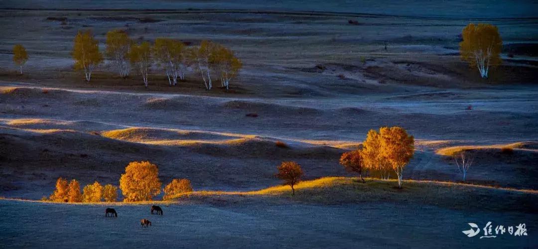 焦作钟彦医生,钟彦河南焦作