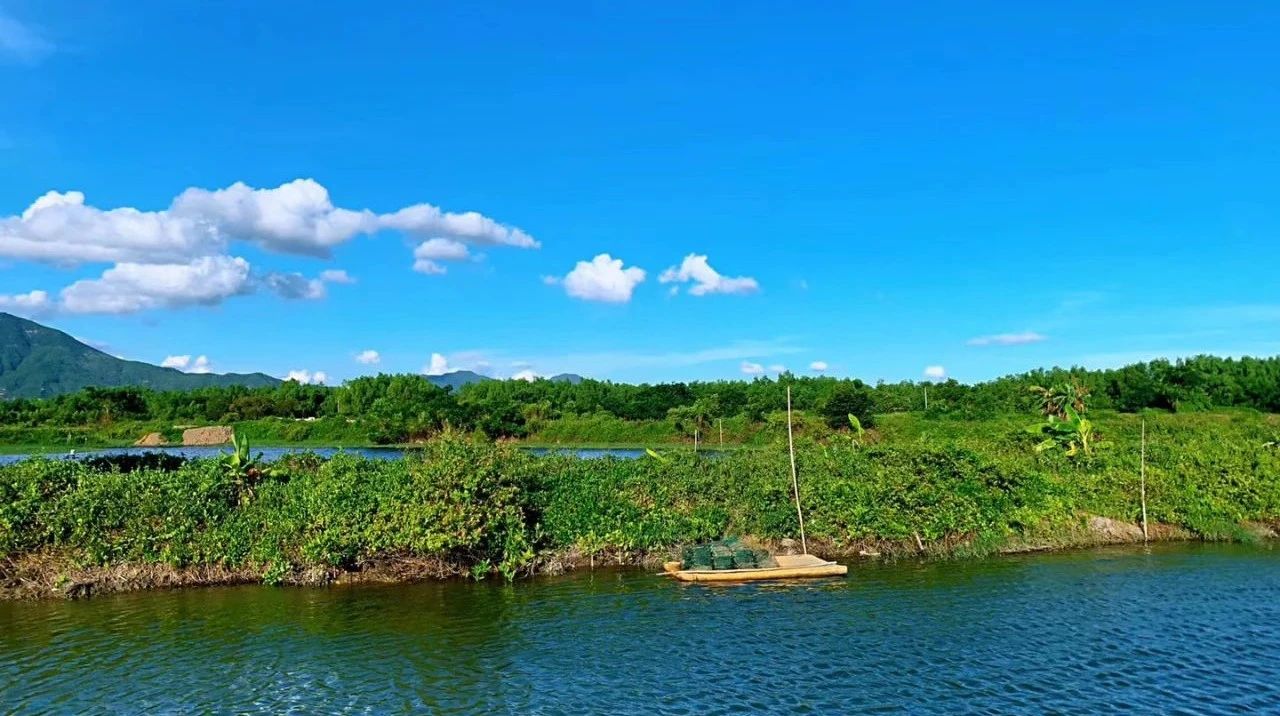 蓝鲫微物,微物蓝鲫用多重的铅头钩