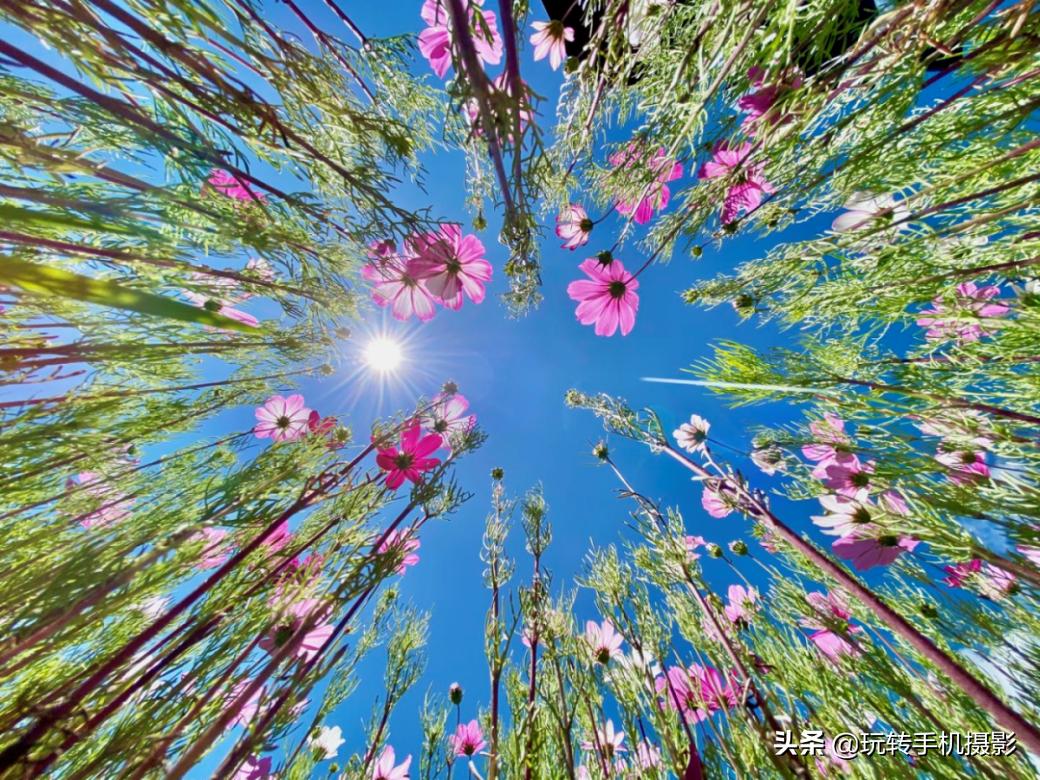 iphone12拍照功能介绍,iphone12手机拍照功能有哪些