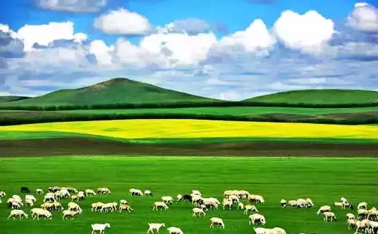 全国各地食材特产一览表建议收藏,上海特产必买清单一览表