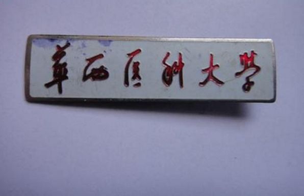 西南最好十所大学排名,西南地区最好的十所大学