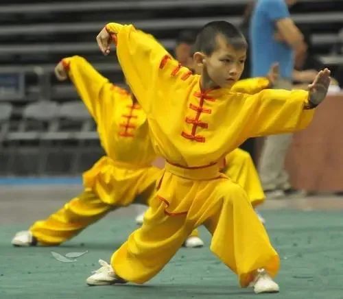 搏击跆拳道散打哪个适合孩子,搏击散打跆拳道学哪个好