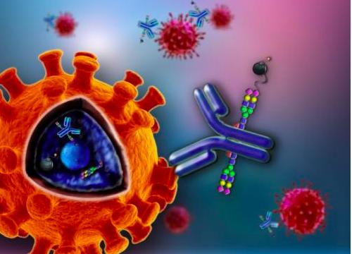 新冠病毒到现在地球上死了多少人 (新冠病毒地球一天死多少人)