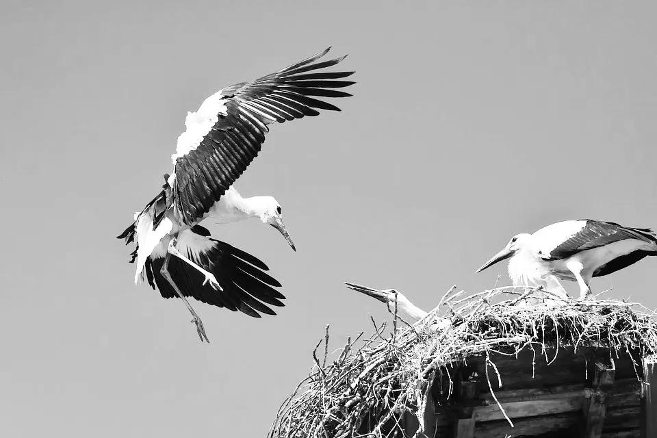 聚划算扣点,聚划算领券在哪里