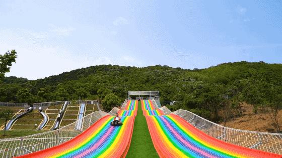 五一不能错过的花海,五一不能错过的美丽花海