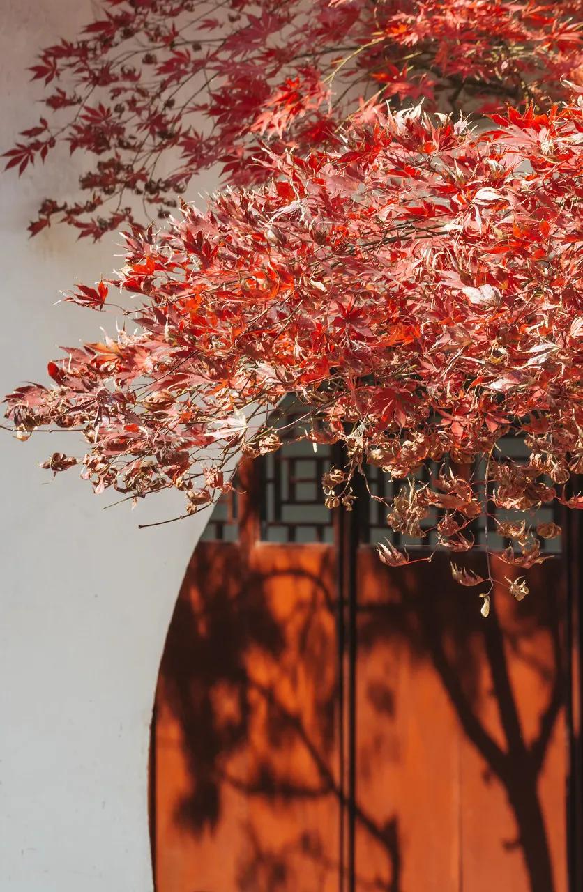 十首最美秋夜诗词,十首绝美夏天诗词大全