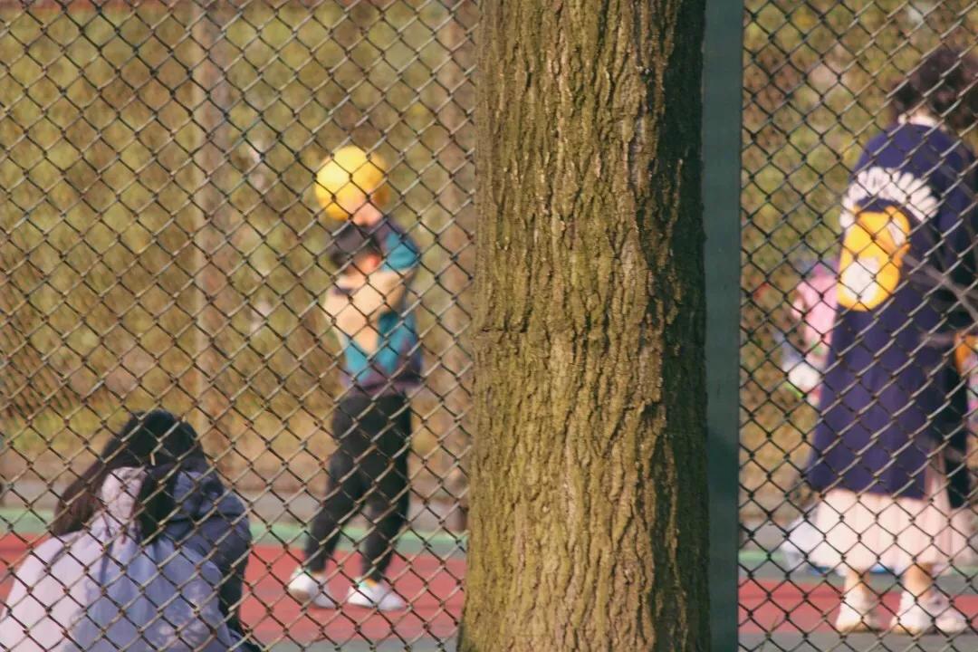 踏春邀请函怎么写,邀请朋友踏春邀请函制作