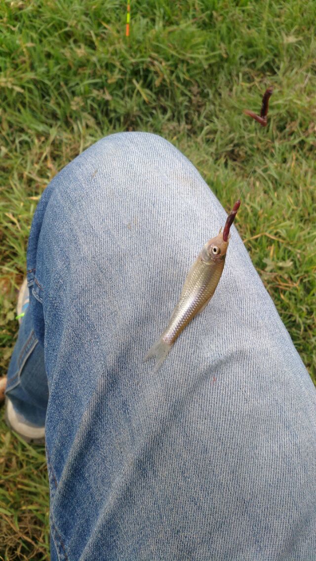 收费100一天的水库,离昆明市区最近的收费钓鱼水库