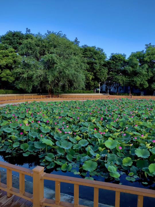 唯品会购物省钱吗,唯品会购物评价