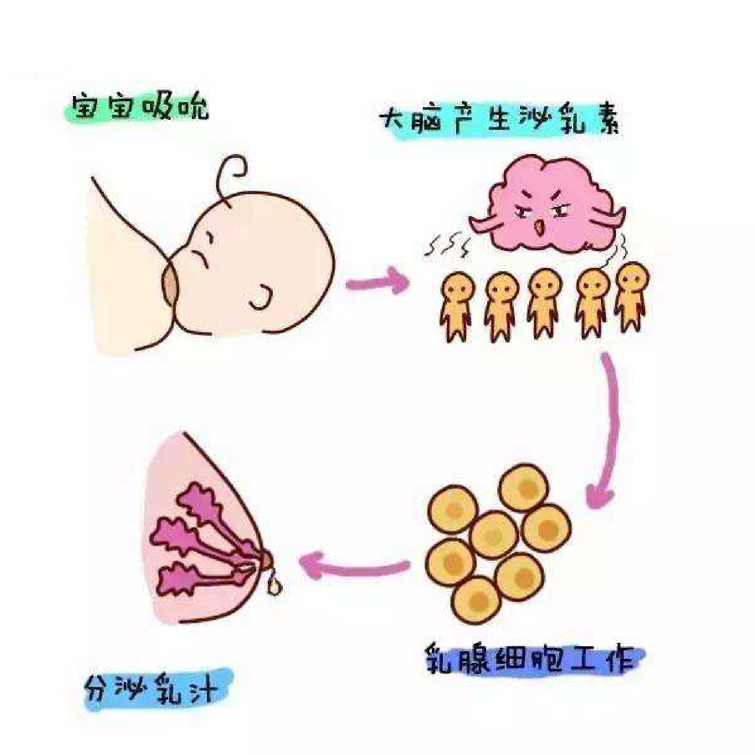 母乳堵奶最好的解决方法,母乳喂养有困难的要及时处理