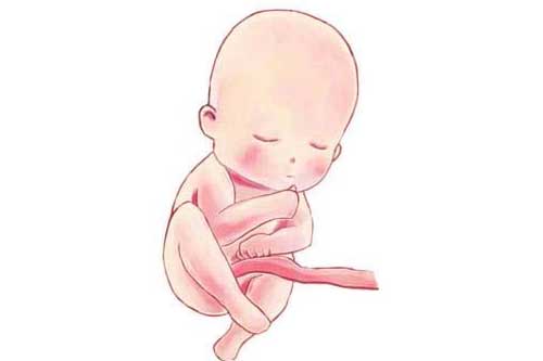 有了这几个症状要特别留意胎儿宫内缺氧了