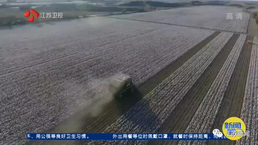 3亩地2个人种玉米需要多久,棉田种植方式