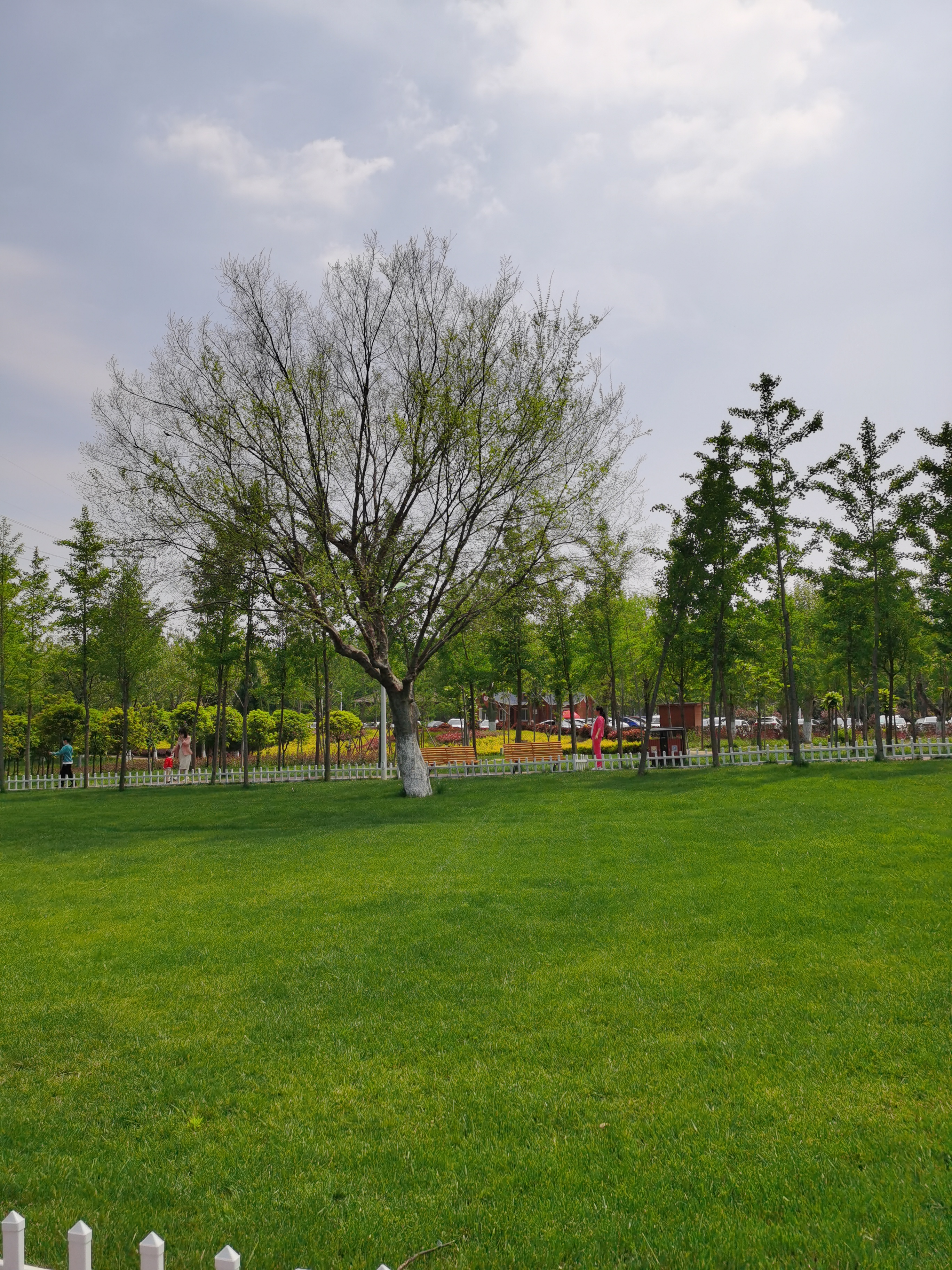 5.1免费公园遛娃好去处,网友推荐郑州树木园游玩好去处