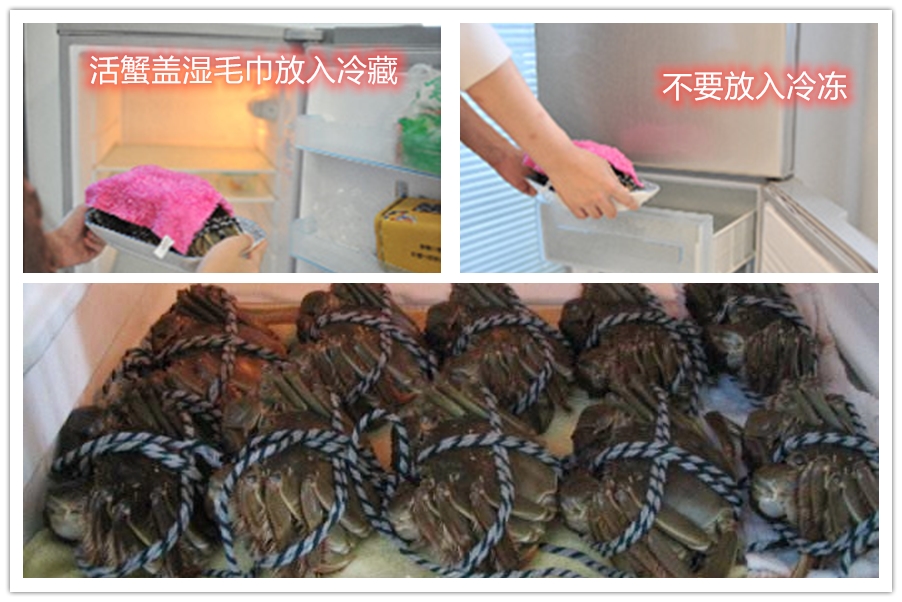 阳澄湖大闸蟹储存温度储存天数,蟹帆阳澄湖大闸蟹怎样保存