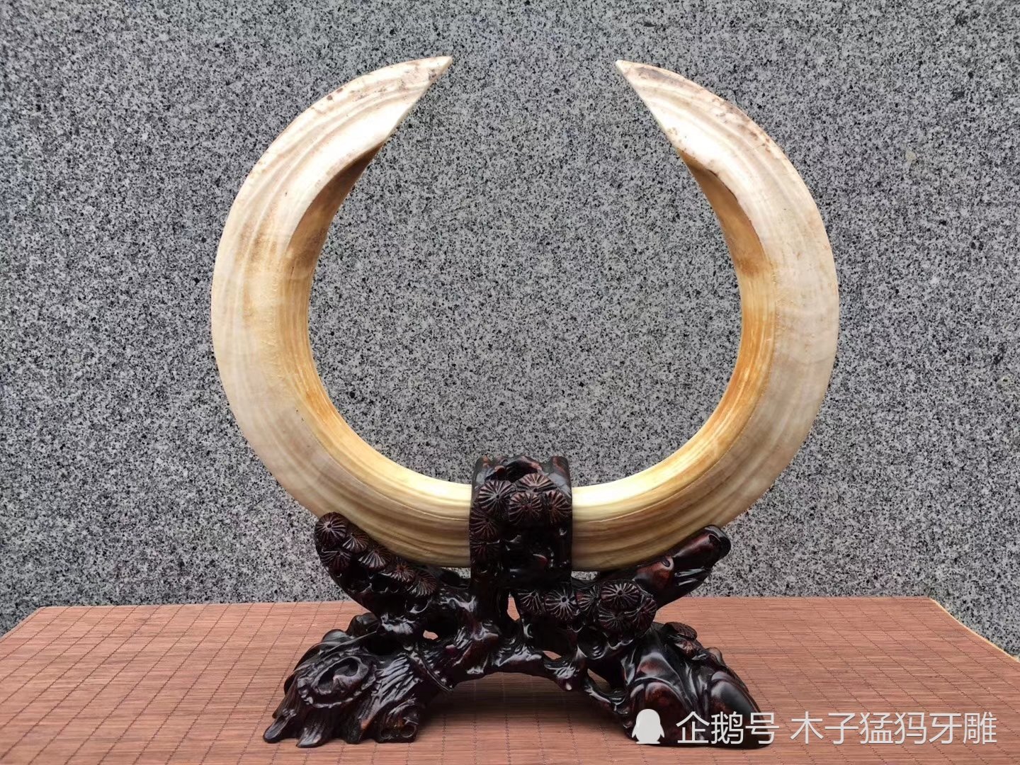 文玩流行的动物制品 (十种野生文玩)