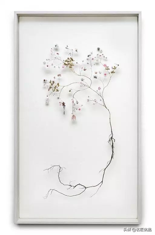 手工课堂：手把手教你做干花标本，比花钱买来的画好看十倍