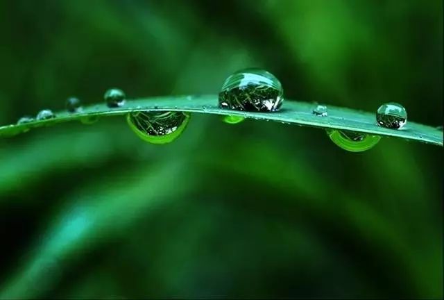 各种相机拍摄技巧视频,单反相机入门教程实用摄影技巧