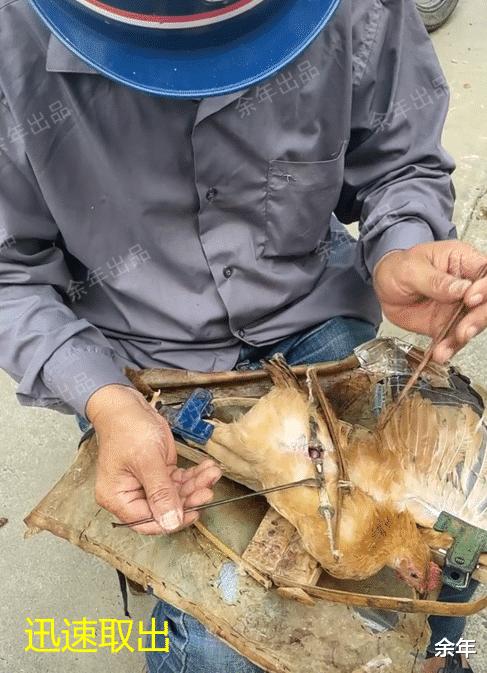 一男子在山洞里挖出一只奇怪生物,湖北一男子挖到老鼠窝