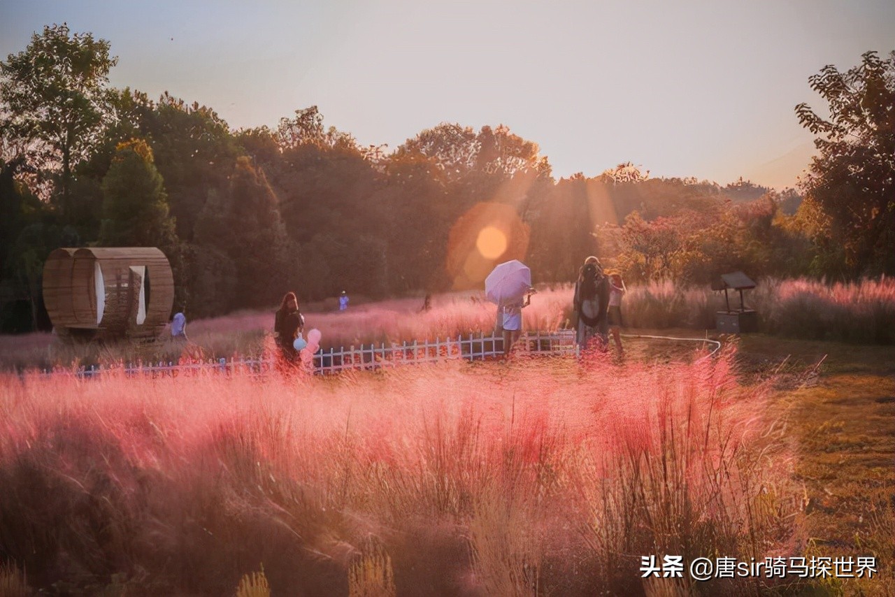 打卡南昌呼伦贝尔大草原,南昌呼伦贝尔草原行