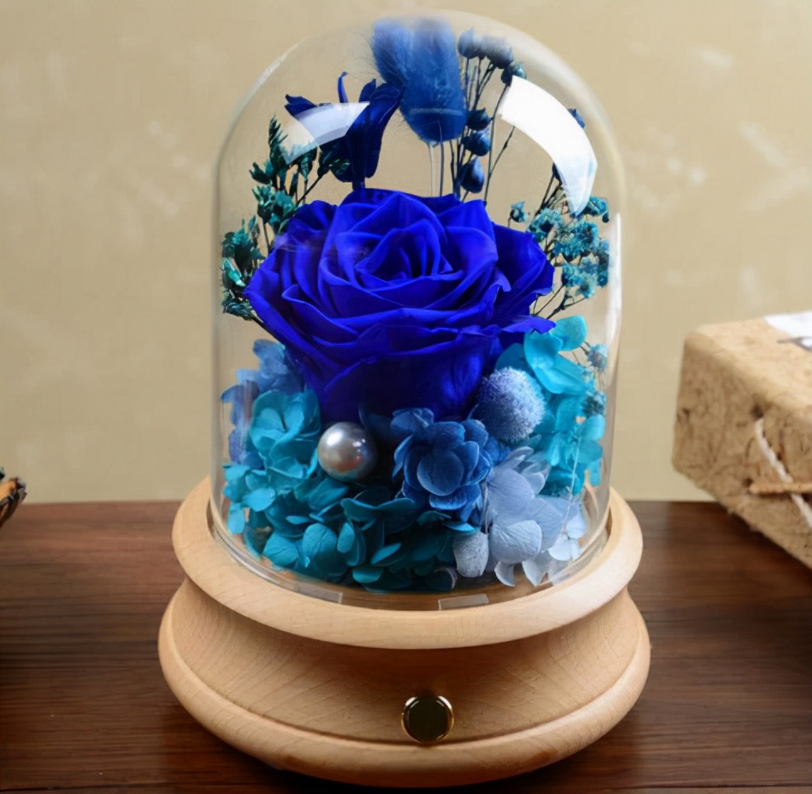 哪种花叫永生花,有种花叫永生花